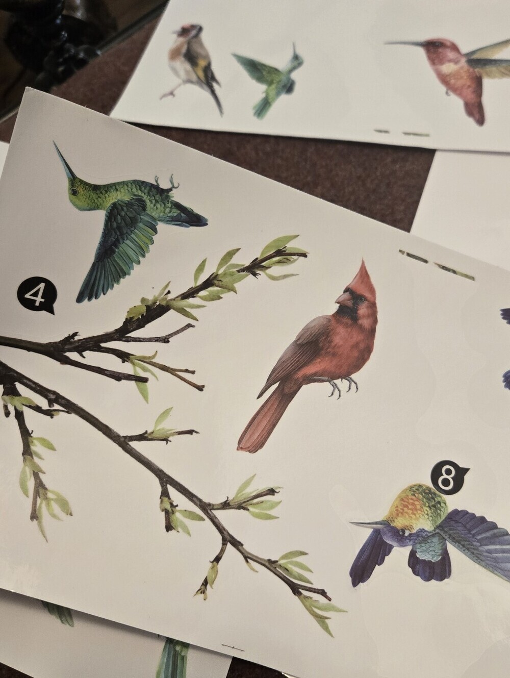 Bird & Branch Vinyl Window Clings Reusable No Adhesive - Picture 5 of 11